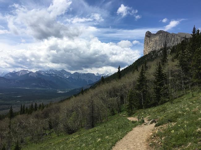 Nearly one-quarter of trails in southern B.C., Alberta unmapped and unmanaged: study | iNFOnews.ca