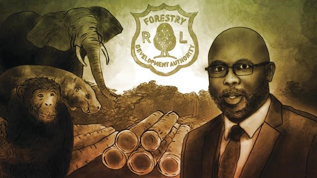 Investigation faults Liberian agency protecting rainforest | iNFOnews.ca