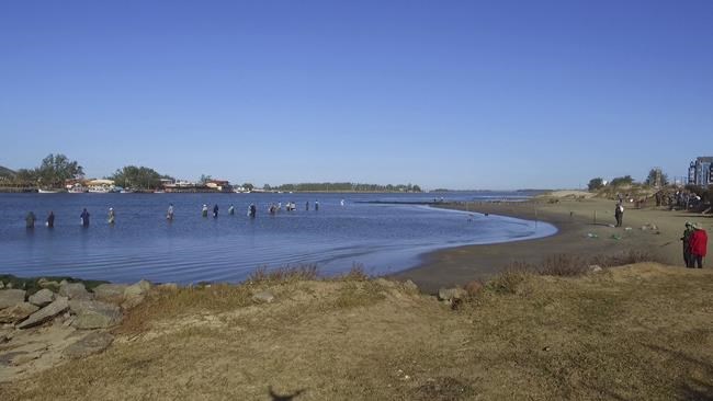Dolphins, humans both benefit from fishing collaboration | iNFOnews.ca