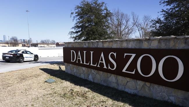 A real zoodunit: Monkeys found but mystery deepens in Dallas | iNFOnews.ca