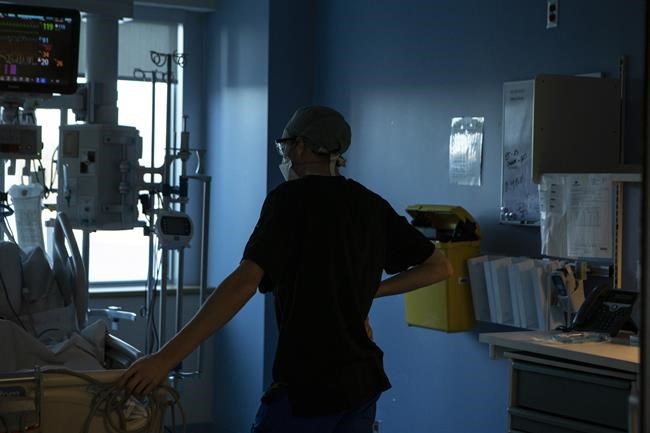 As sexual assault rates rise, provinces face shortages of specially trained nurses | iNFOnews.ca As sexual assault rates rise, provinces face shortages of specially trained nurses | iNFOnews.ca