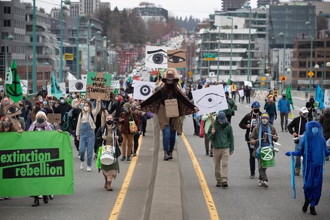 House arrest, probation for old-growth protester who blocked Metro Vancouver traffic | iNFOnews.ca