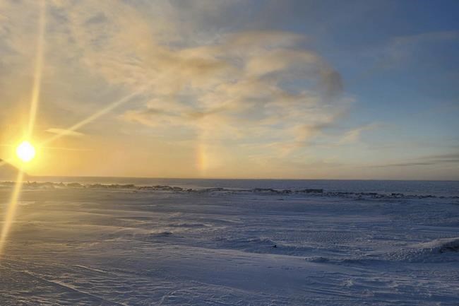 Polar bear in fatal Alaska attack was in poor health | iNFOnews.ca Polar bear in fatal Alaska attack was in poor health | iNFOnews.ca