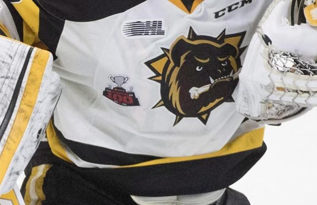 Ontario Hockey League's Bulldogs officially relocating from Hamilton to Brantford | iNFOnews.ca