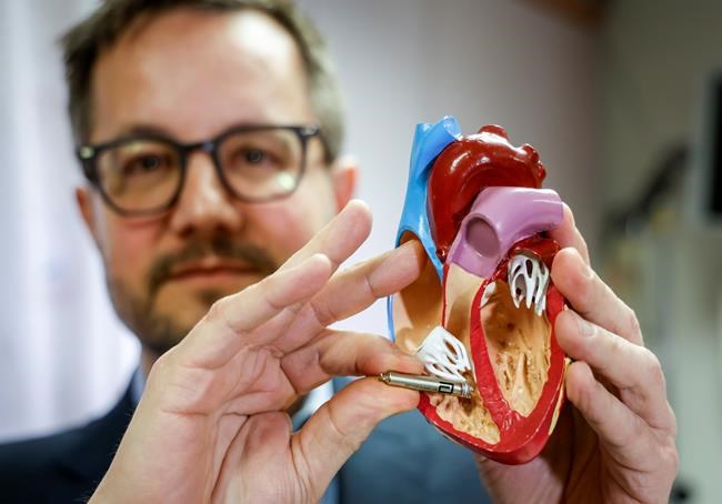 'Game-changer:' Calgary becomes training hub for new miniaturized pacemaker | iNFOnews.ca 'Game-changer:' Calgary becomes training hub for new miniaturized pacemaker | iNFOnews.ca