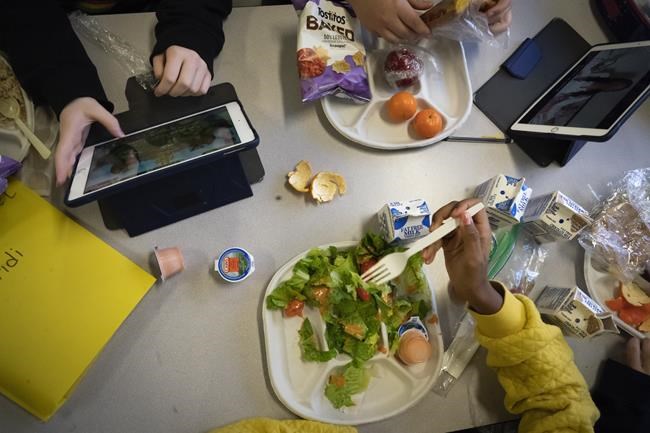 Study hints healthier school lunch can reduce obesity | iNFOnews.ca
