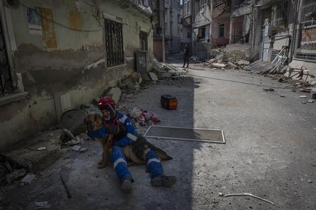 Amid quake's devastation, parallel rescue bid targets pets | iNFOnews.ca Amid quake's devastation, parallel rescue bid targets pets | iNFOnews.ca