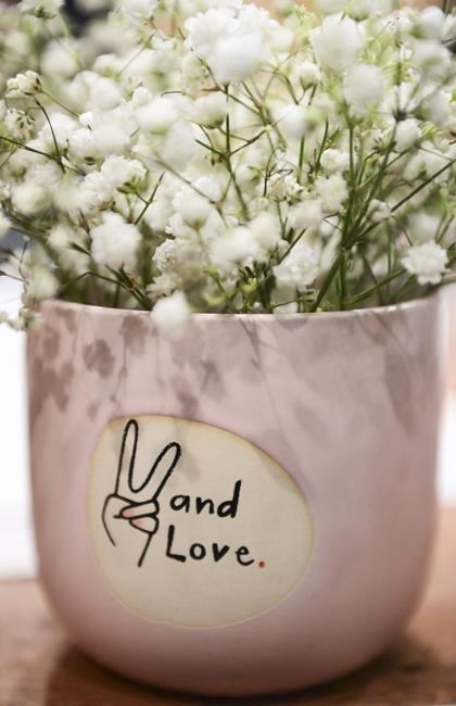Show baby's breath no love this Valentine's Day, invasive species group warns | iNFOnews.ca