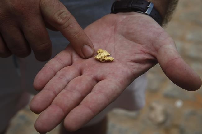 Brazil police target illegal gold exports from the Amazon | iNFOnews.ca