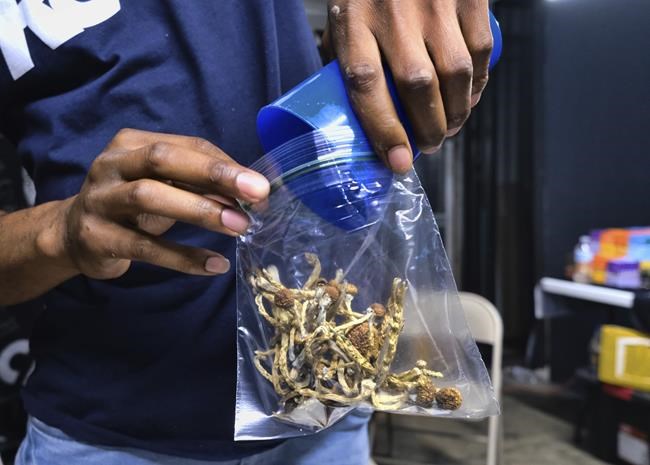 Utah lawmakers punt on magic mushroom therapy proposal | iNFOnews.ca