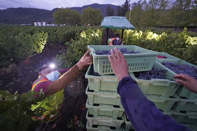 Wholesale price pressures emerge despite long-term slowdown | iNFOnews.ca