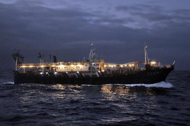 UN ocean treaty talks resume with goal to save biodiversity | iNFOnews.ca