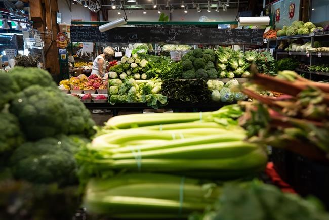 The cost of these grocery items went down in January | iNFOnews.ca