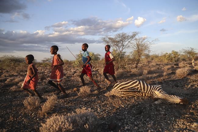 Horn of Africa drought trends said worse than in 2011 famine | iNFOnews.ca Horn of Africa drought trends said worse than in 2011 famine | iNFOnews.ca