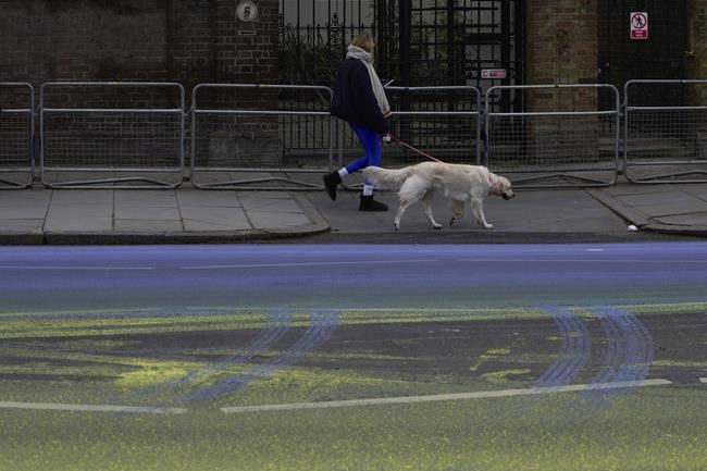 UK: Protesters paint Ukrainian flag outside Russian embassy | iNFOnews.ca