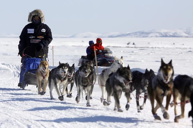 'A little scary': Iditarod begins with smallest field ever | iNFOnews.ca