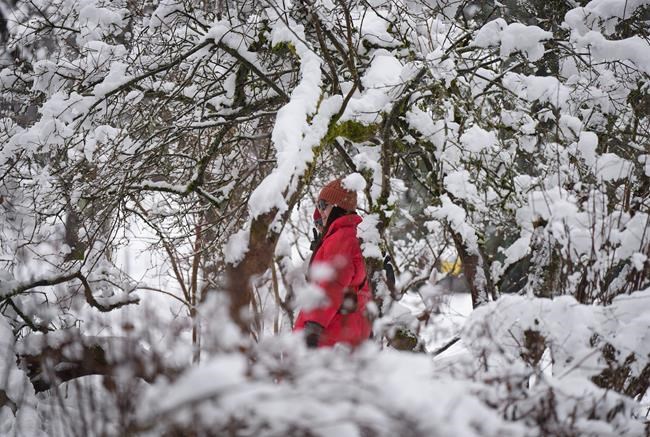Spring on the doorstep, but winter storms threaten Metro Vancouver, parts of B.C. | iNFOnews.ca