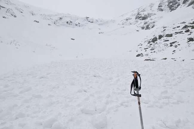 Snowboarder caught on video escaping New Hampshire avalanche | iNFOnews.ca