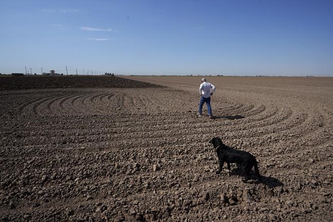 In dry West, farmers balk at idling land to save water | iNFOnews.ca