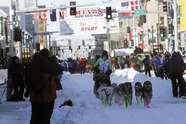 33 Iditarod sled dog race mushers to trek across Alaska | iNFOnews.ca 33 Iditarod sled dog race mushers to trek across Alaska | iNFOnews.ca