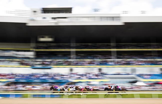 Canadian International turf ace returns to Woodbine in 2023 | iNFOnews.ca