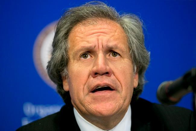 OAS boss traveled with female aide at center of ethics probe | iNFOnews.ca OAS boss traveled with female aide at center of ethics probe | iNFOnews.ca