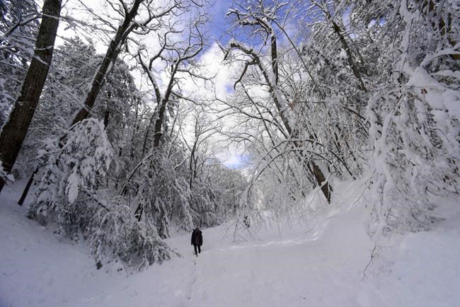 Northeast digs out from winter storm, faces power outages | iNFOnews.ca