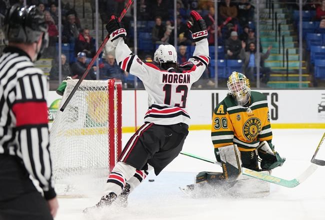 Reds roll over Golden Bears 3-0 to net U Sports men's hockey title | iNFOnews.ca Reds roll over Golden Bears 3-0 to net U Sports men's hockey title | iNFOnews.ca