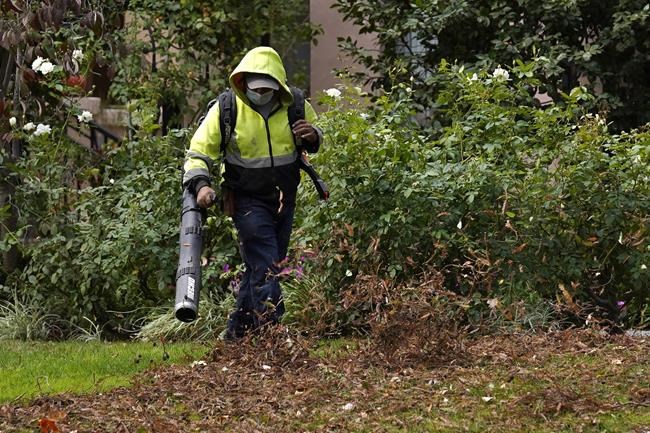 Itching to start spring garden cleanup? Not so fast! | iNFOnews.ca