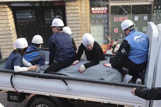 Zebra runs loose in Seoul before being taken back to zoo | iNFOnews.ca Zebra runs loose in Seoul before being taken back to zoo | iNFOnews.ca