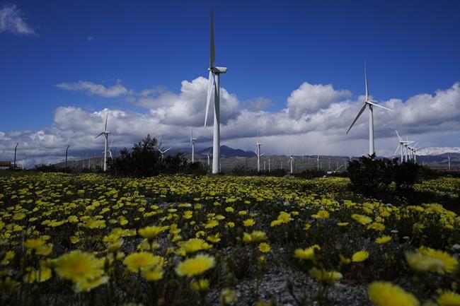 Wind industry predicts bounceback and rapid growth in 2023 | iNFOnews.ca Wind industry predicts bounceback and rapid growth in 2023 | iNFOnews.ca
