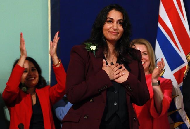 B.C. plans family law changes to decide who gets the pets when couples split | iNFOnews.ca