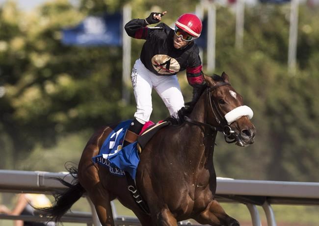 Veteran jockey Luis Contreras to chase third Plate victory | iNFOnews.ca