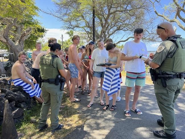 Hawaii authorities say 33 swimmers were harassing dolphins | iNFOnews.ca Hawaii authorities say 33 swimmers were harassing dolphins | iNFOnews.ca