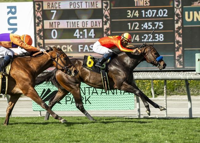 Judge pauses horse racing anti-doping rules for 30 days | iNFOnews.ca