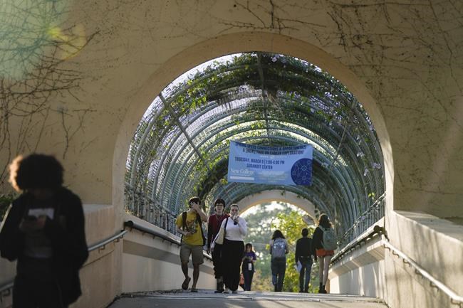 Anatomy of a political takeover at Florida public college | iNFOnews.ca