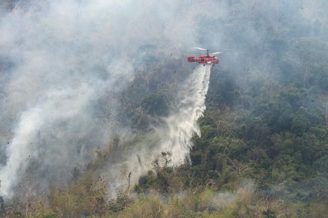 Thailand uses helicopters to fight mountain wildfires | iNFOnews.ca Thailand uses helicopters to fight mountain wildfires | iNFOnews.ca