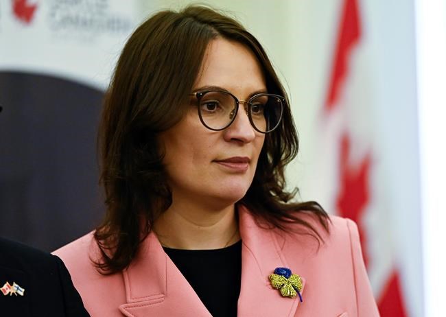 Ukraine, Finland looking for Canadian help to rebuild economy amid war: ambassadors | iNFOnews.ca