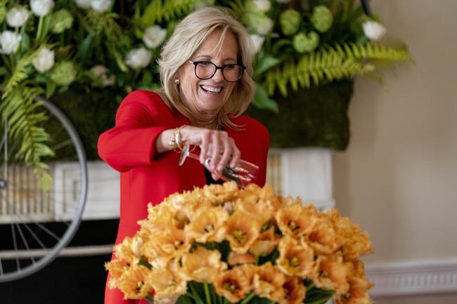 Jill Biden accepts tulip named for her by the Netherlands | iNFOnews.ca Jill Biden accepts tulip named for her by the Netherlands | iNFOnews.ca