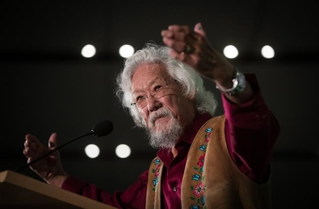 'Hanging in': David Suzuki shares insights as he retires from 'The Nature of Things' | iNFOnews.ca
