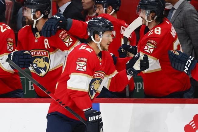 Lyon solid in goal as Florida beats Ottawa 7-2 | iNFOnews.ca
