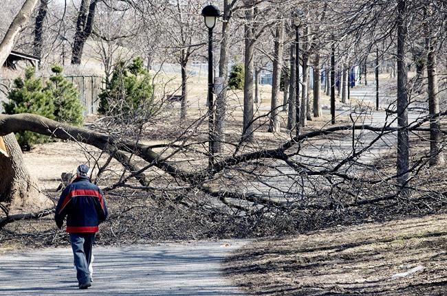 Hydro-Quebec may not see full restoration until Tuesday : In The News for April 10 | iNFOnews.ca Hydro-Quebec may not see full restoration until Tuesday : In The News for April 10 | iNFOnews.ca