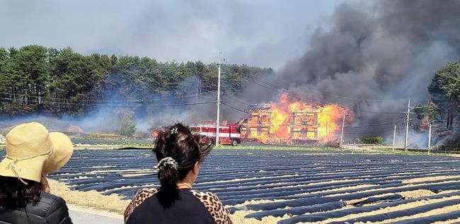 1 dead, hundreds flee wildfire in South Korean seaside city | iNFOnews.ca