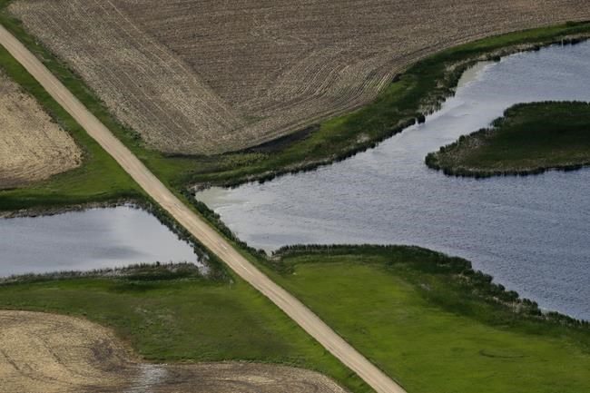 Judge temporarily blocks clean water rule in 24 states | iNFOnews.ca