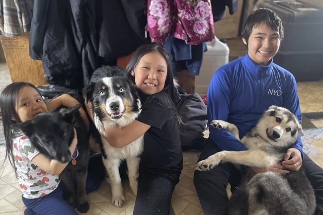 Pet arrives home, dog-tired, after Alaskan sea-ice odyssey | iNFOnews.ca