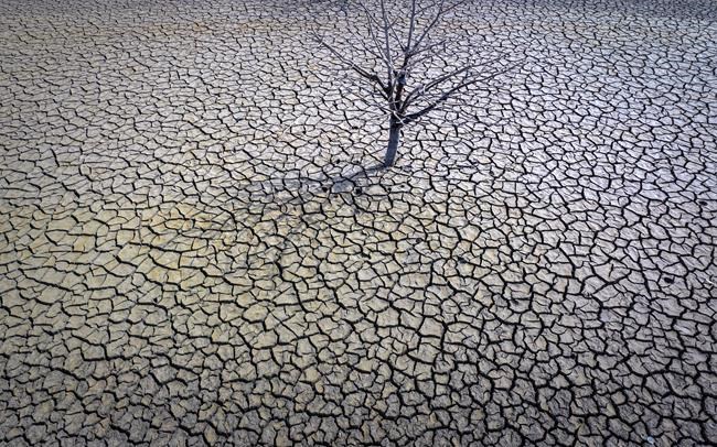 Drought will cause crop failures in Spain, farmers warn | iNFOnews.ca CP311568974