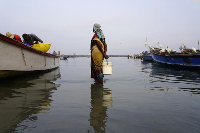 A cyclone-hit Indian hamlet pins its hopes on a sea wall | iNFOnews.ca