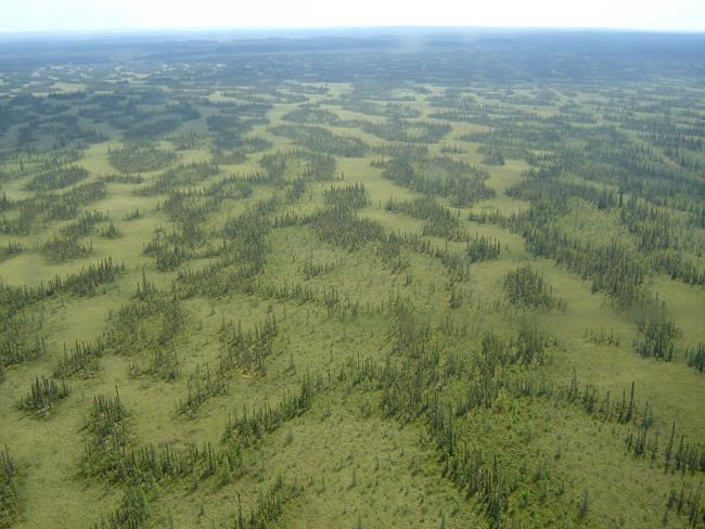 Alberta regulator reconsiders Fort Hills oilsands approval after critical report | iNFOnews.ca