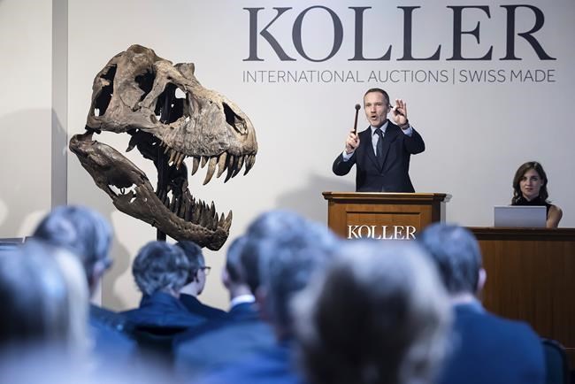 T. rex skeleton sells for more than $5M at Zurich auction | iNFOnews.ca T. rex skeleton sells for more than $5M at Zurich auction | iNFOnews.ca