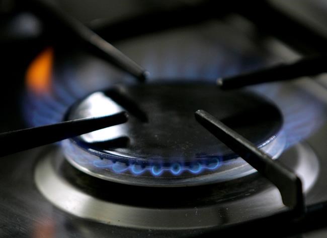 Court tosses Berkeley gas ban, but wider impact is unclear | iNFOnews.ca Court tosses Berkeley gas ban, but wider impact is unclear | iNFOnews.ca